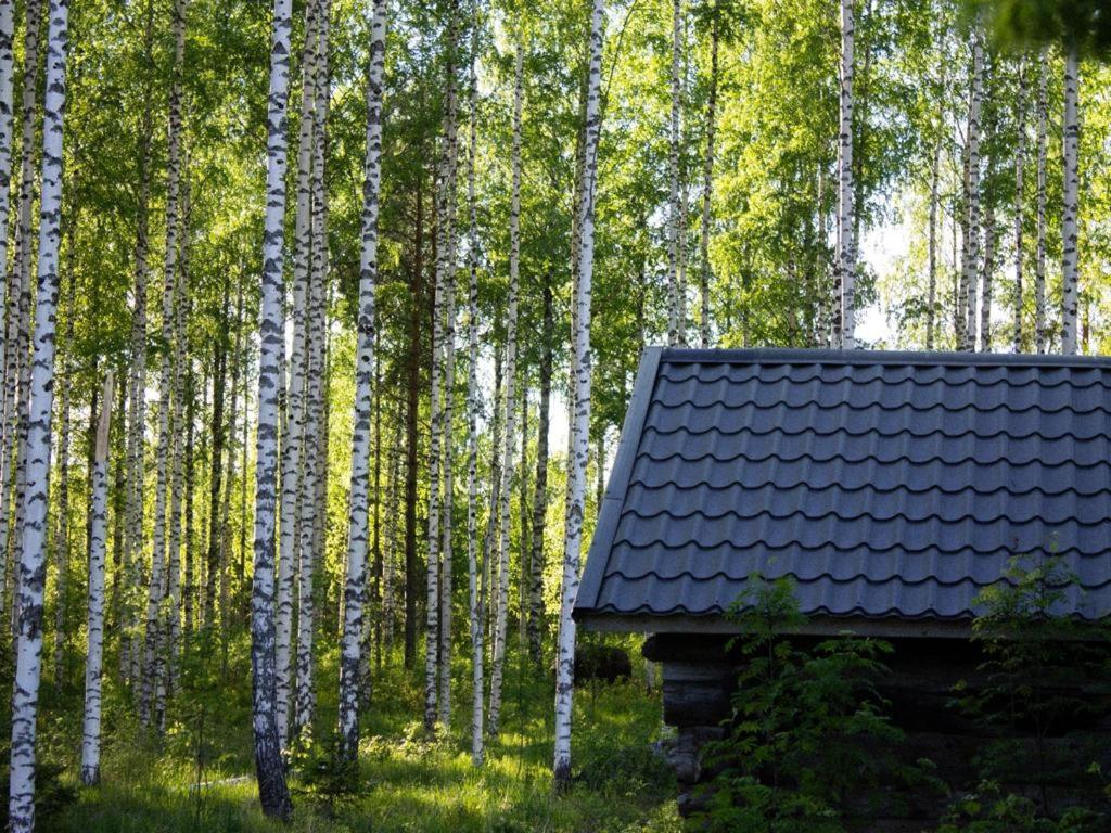 Bed and Breakfast Tarina-Aho Vuonislahti Екстер'єр фото