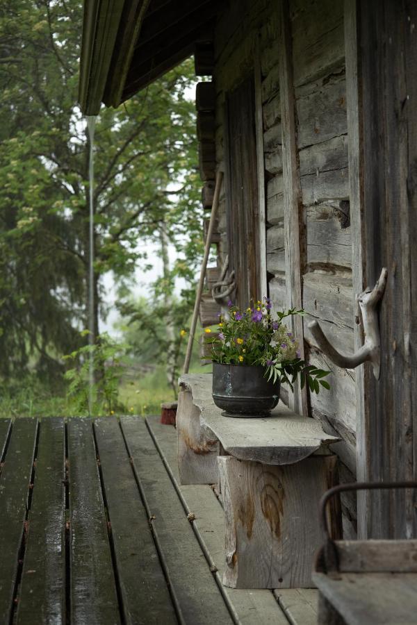 Bed and Breakfast Tarina-Aho Vuonislahti Екстер'єр фото